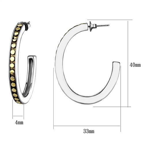 MATK2891 - Two-Tone IP Gold (Ion Plating) Stainless Steel Earrings with Epoxy in Jet