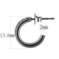 MA3W1141 - IP Light Black  (IP Gun) Brass Earrings with Top Grade Crystal  in Light Gray
