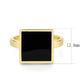 MA3W1619 - Flash Gold Brass Ring with Epoxy in Jet