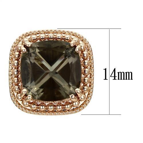 MATK1674 - IP Rose Gold(Ion Plating) Stainless Steel Earrings with Genuine Stone  in Brown