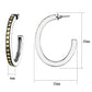 MATK2891 - Two-Tone IP Gold (Ion Plating) Stainless Steel Earrings with Epoxy  in Jet
