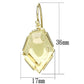 MAVL066 - IP Gold(Ion Plating) Brass Earrings with Synthetic Synthetic Stone in Clear