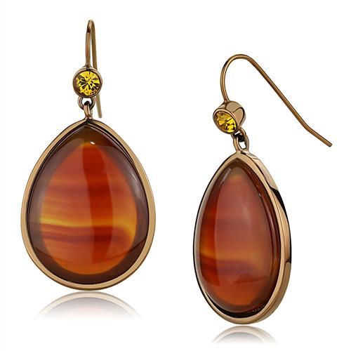 MATK2575 - IP Coffee light Stainless Steel Earrings with Semi-Precious Agate in Siam
