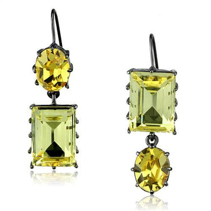 MATK2709 - IP Light Black  (IP Gun) Stainless Steel Earrings with Top Grade Crystal  in Multi Color