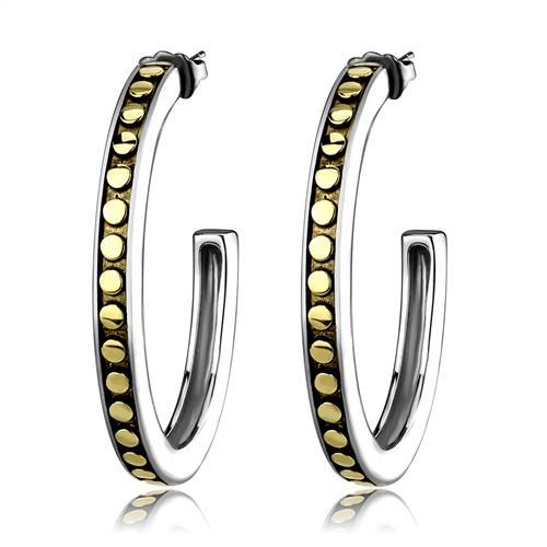 MATK2891 - Two-Tone IP Gold (Ion Plating) Stainless Steel Earrings with Epoxy  in Jet